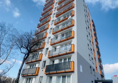 mieszkanie na wynajem - Sosnowiec